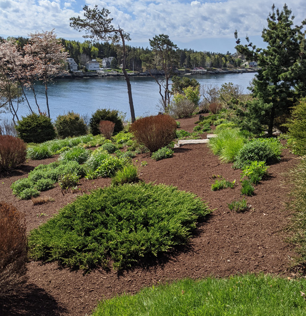 commercial and residential mulch installation